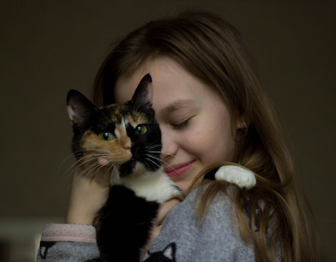 Discover 10 Signs That Your Cat Loves You More Than You Think